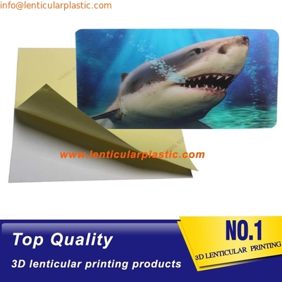 High Definition Lenticular 3D Card Printing Custom Printing 3D Depth Effect Lenticular Sheet 3D Lenticular Poster